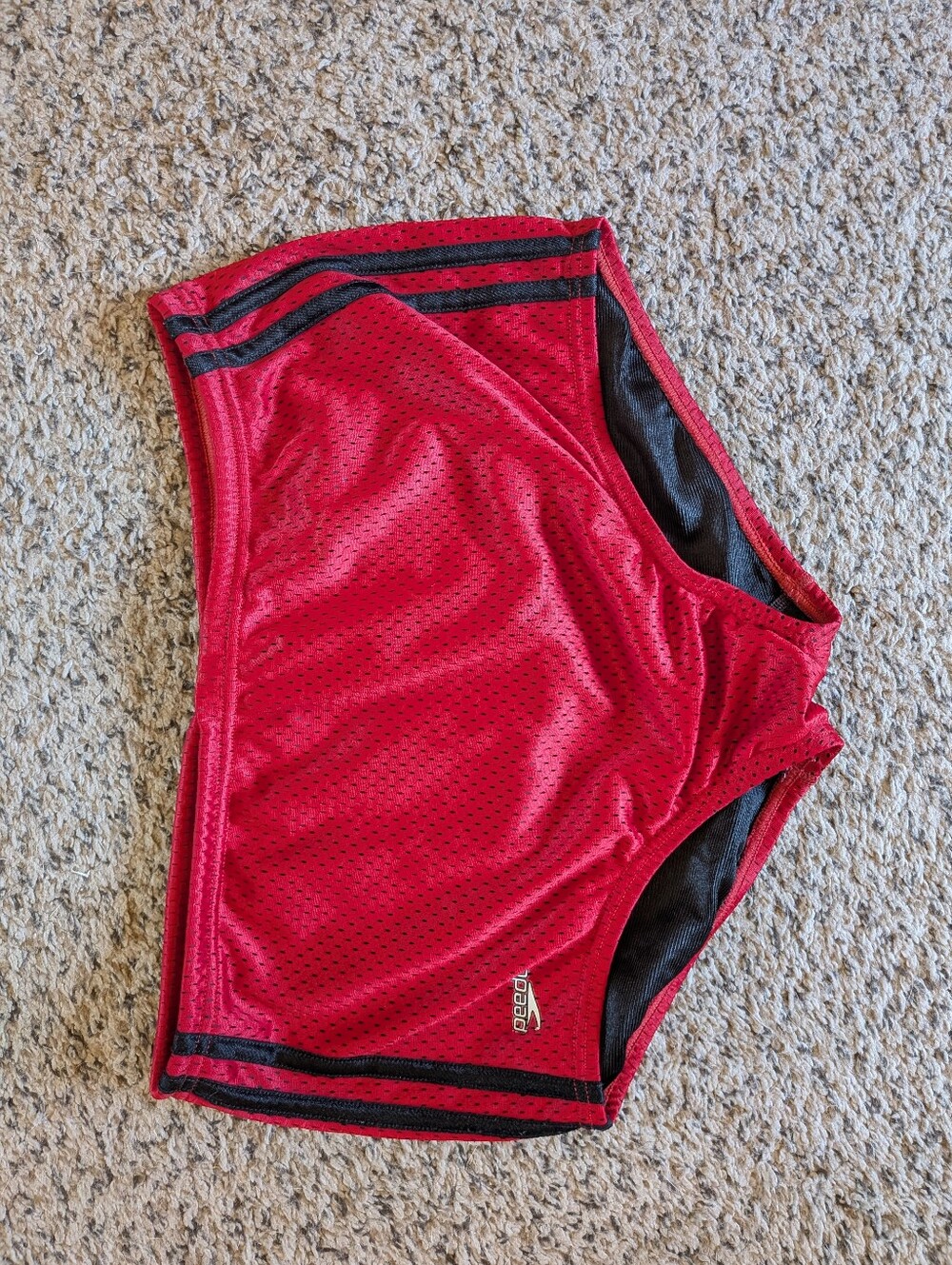 Y2K Poly Mesh Speedo - 32 - LaSalle